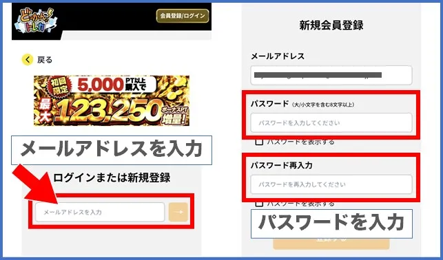 どっかんトレカ登録情報画面