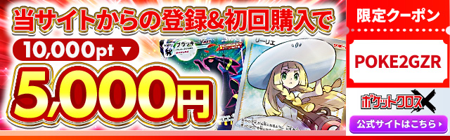 【空箱】　日本トレカセンター　ポケットクロスX 21個セット 日本トレカセンターの「なにかのPSA10」を発送した場合に届くカードの