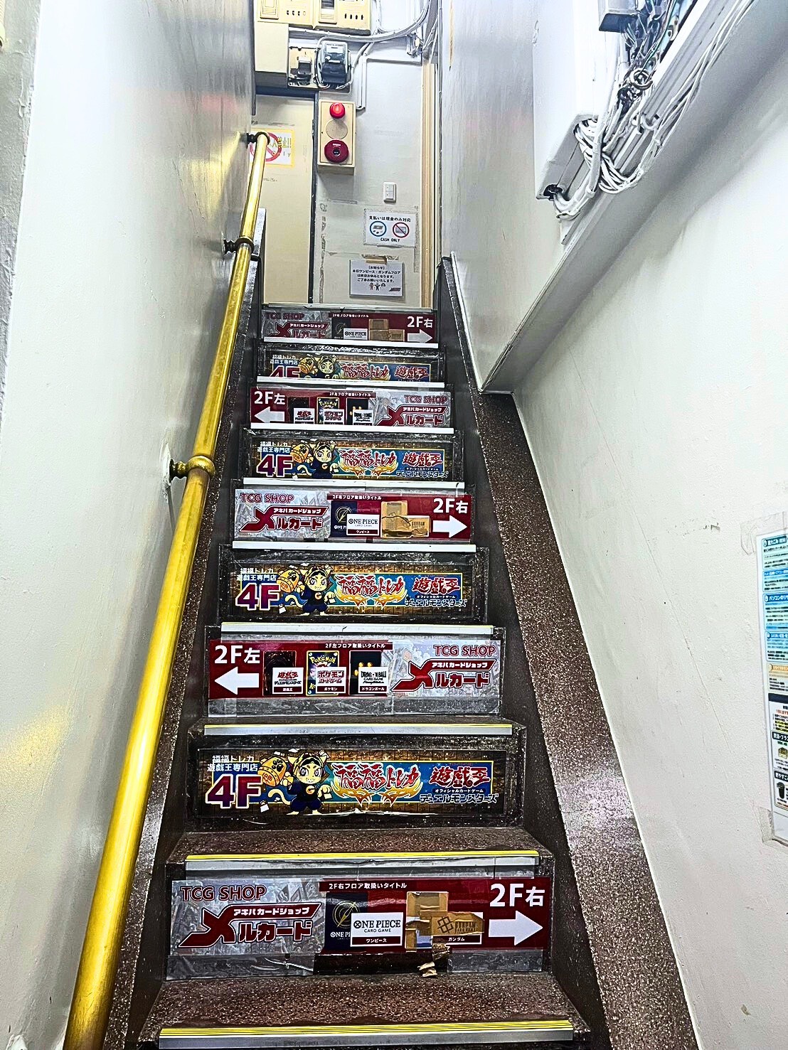 Mel Card Akihabara Store No.1 - Photo 4